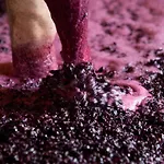 Quinta Da Faisca - Agro Turismo בית נופש *