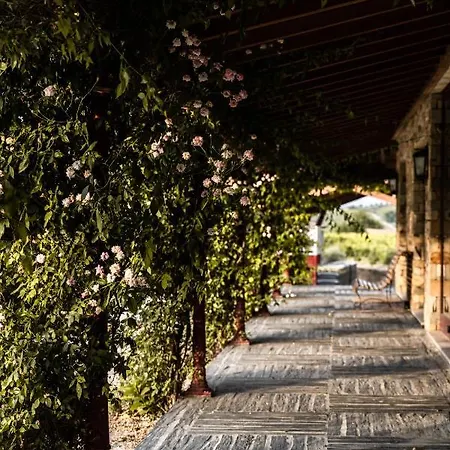 Quinta Da Faisca - Agro Turismo