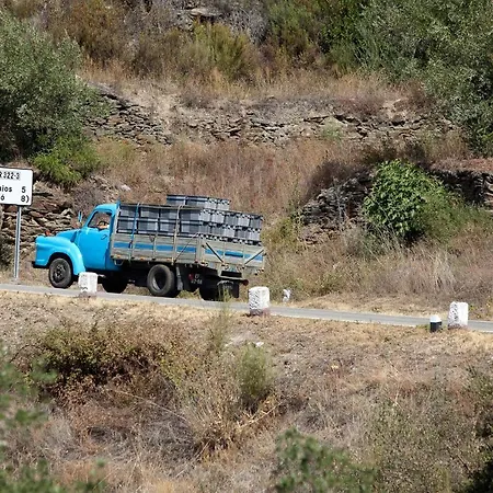 Quinta Da Faisca - Agro Turismo