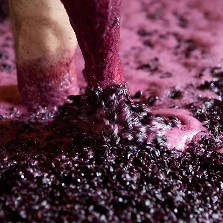 Quinta Da Faisca - Agro Turismo 펜션 *