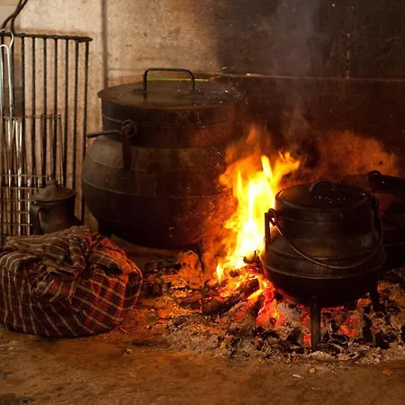 Quinta Da Faisca - Agro Turismo