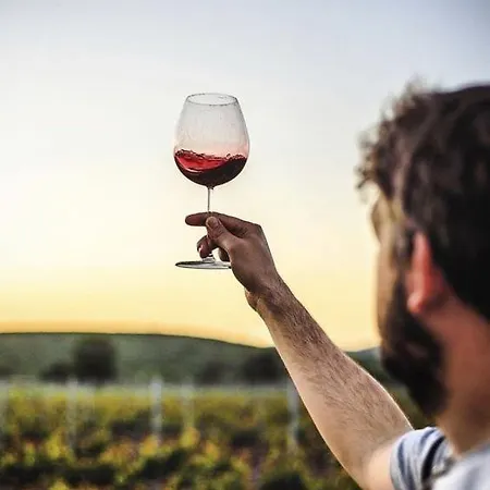 Dom wakacyjny Quinta Da Faisca - Agro Turismo Favaios