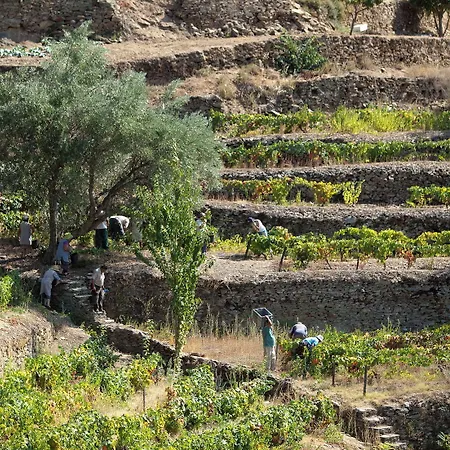 Quinta Da Faisca - Agro Turismo Casa vacanze *