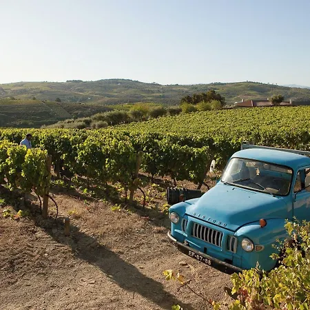 Quinta Da Faisca - Agro Turismo *