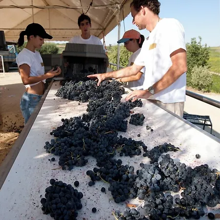 Casa vacanze Quinta Da Faisca - Agro Turismo *