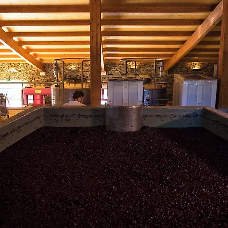 Quinta Da Faisca - Agro Turismo Casa vacanze Favaios