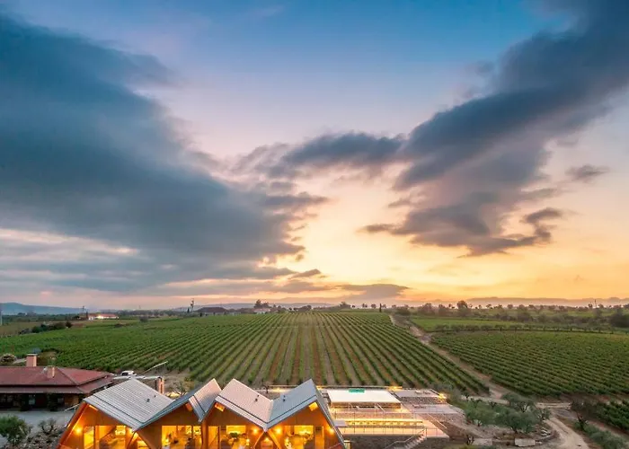 Quinta Da Faisca - Agro Turismo 펜션 Favaios