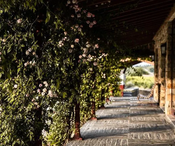 Quinta Da Faisca - Agro Turismo