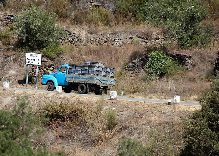 Quinta Da Faisca - Agro Turismo