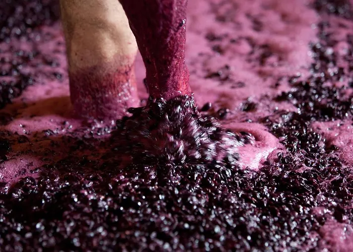 Quinta Da Faisca - Agro Turismo 펜션 *